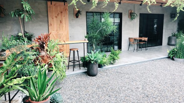 微光寓所Shimmer-café 南投埔里寵物友善餐廳