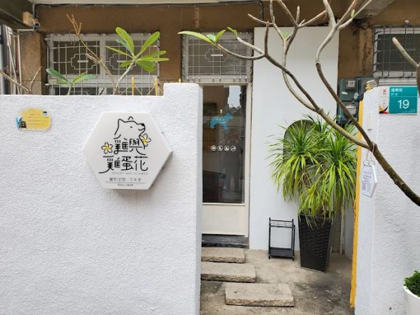 雞與雞蛋花 台南市東區寵物友善餐廳