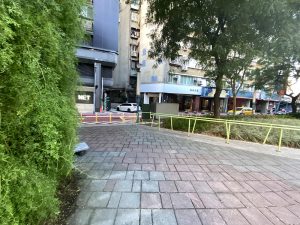 2025第三屆公益寵遊會-毛孩FUN閃曬幸福 寵物活動 寵物市集