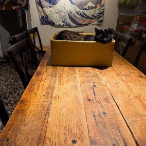 兔子の窩 Coffee House 雲林虎尾寵物友善餐廳