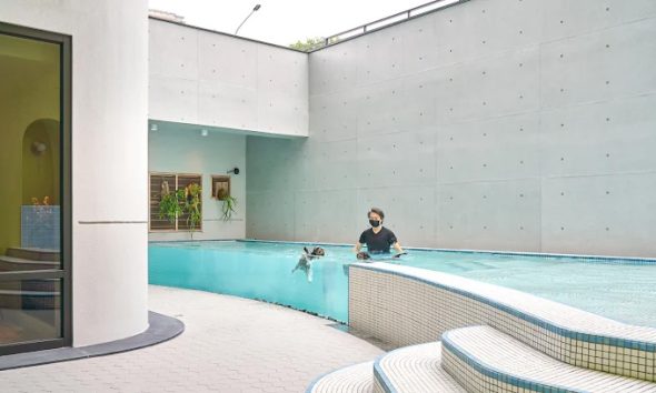 Dogether Hotel 多野樂旅館 高雄楠梓寵物友善住宿