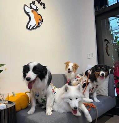 Paws Cafe 寵物友善餐廳