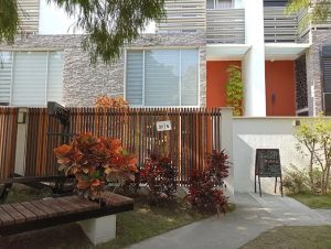 樂晨Brunch 雲林虎尾寵物友善餐廳