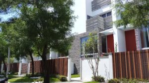 樂晨Brunch 雲林虎尾寵物友善餐廳