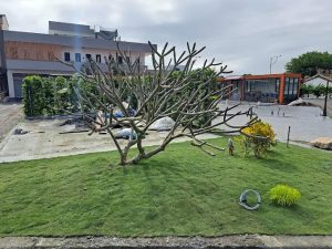 光驛站CROWN house 宜蘭頭城寵物友善餐廳