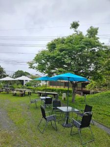 有毛孩真好土耳其咖啡 宜蘭礁溪寵物友善民宿