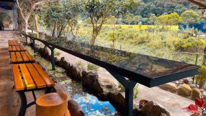 流水森林-頭城餐廳 宜蘭頭城寵物友善餐廳