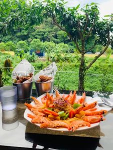 流水森林-頭城餐廳 宜蘭頭城寵物友善餐廳