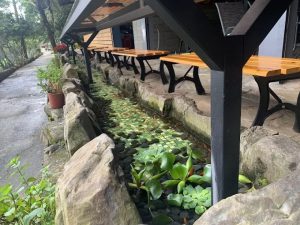 流水森林-頭城餐廳 宜蘭頭城寵物友善餐廳