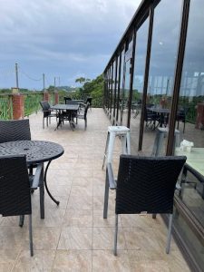 老樹8 宜蘭礁溪寵物友善餐廳