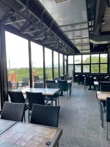 老樹8 宜蘭礁溪寵物友善餐廳