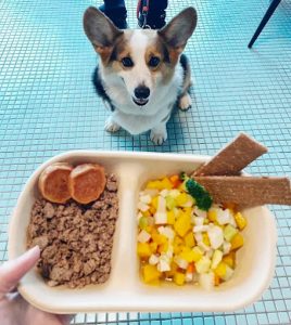 芒草Café 宜蘭壯圍寵物友善餐廳