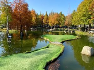 葉月拾柒 雲林虎尾寵物友善餐廳