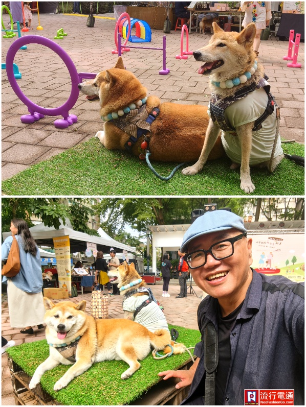 2025第三屆公益寵遊會-毛孩FUN閃曬幸福 寵物活動 寵物市集 寵物新聞