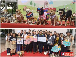 2025第三屆公益寵遊會-毛孩FUN閃曬幸福 寵物活動 寵物市集 寵物新聞