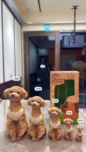 3D Shots 寵物真人3D列印 寵物文創