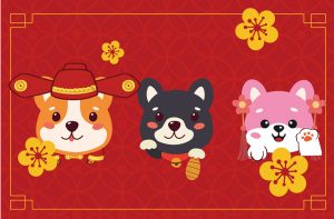 2026 PetZoo 櫻花市集-毛孩走春公益生活節 亮點活動介紹 寵物市集