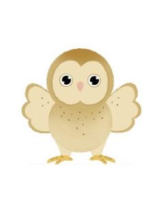 2026 PetZoo 櫻花市集-毛孩走春公益生活節 寵物市集 瀕危動物保育行動計畫 草鶚寶(草鶚)