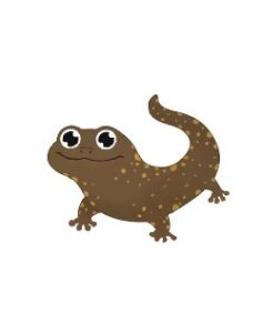 2026 PetZoo 櫻花市集-毛孩走春公益生活節 寵物市集 瀕危動物保育行動計畫 山椒寶(山椒魚)