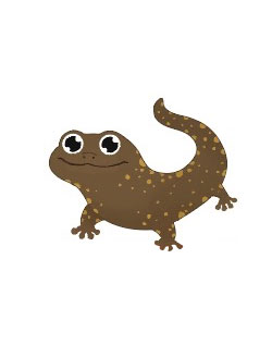 2026 PetZoo 櫻花市集-毛孩走春公益生活節 寵物市集 瀕危動物保育行動計畫 山椒寶(山椒魚) 2026 PetZoo 櫻花市集-毛孩走春公益生活節 寵物市集 瀕危動物保育行動計畫 山椒寶(山椒魚)