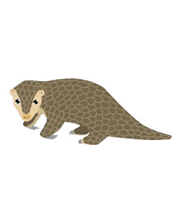 2026 PetZoo 櫻花市集-毛孩走春公益生活節 寵物市集 瀕危動物保育行動計畫 穿山寶(穿山甲) 2026 PetZoo 櫻花市集-毛孩走春公益生活節 寵物市集 瀕危動物保育行動計畫 穿山寶(穿山甲)