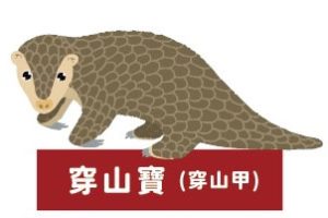 2026 PetZoo 櫻花市集-毛孩走春公益生活節 寵物市集 瀕危動物保育行動計畫