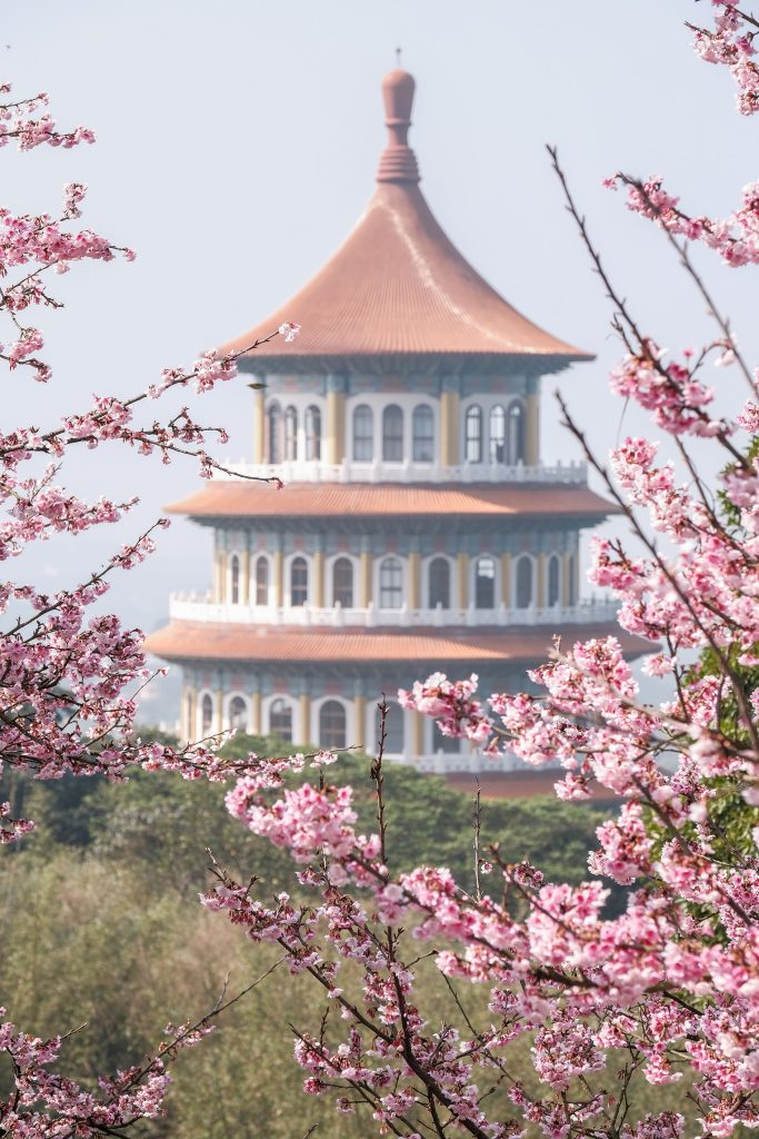 2026淡水天元宮夜櫻賞燈開跑 走進幾米的奇幻世界 寵物新聞 寵物活動