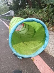 2026 PetZoo 櫻花市集-毛孩走春公益生活節 敏捷犬寵物公益講座 寵物市集