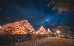 新春第一場專屬毛孩的春節圍爐 春節旺汪汪 一日遊狗聚 寵物友善露營 寵物活動 寵物聚會