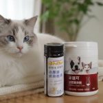 測＋補雙守護：高齡犬貓泌尿道保健 測加補 泌尿道試紙保健組 毛孩寶寵物保健 寵物知識 寵物健康
