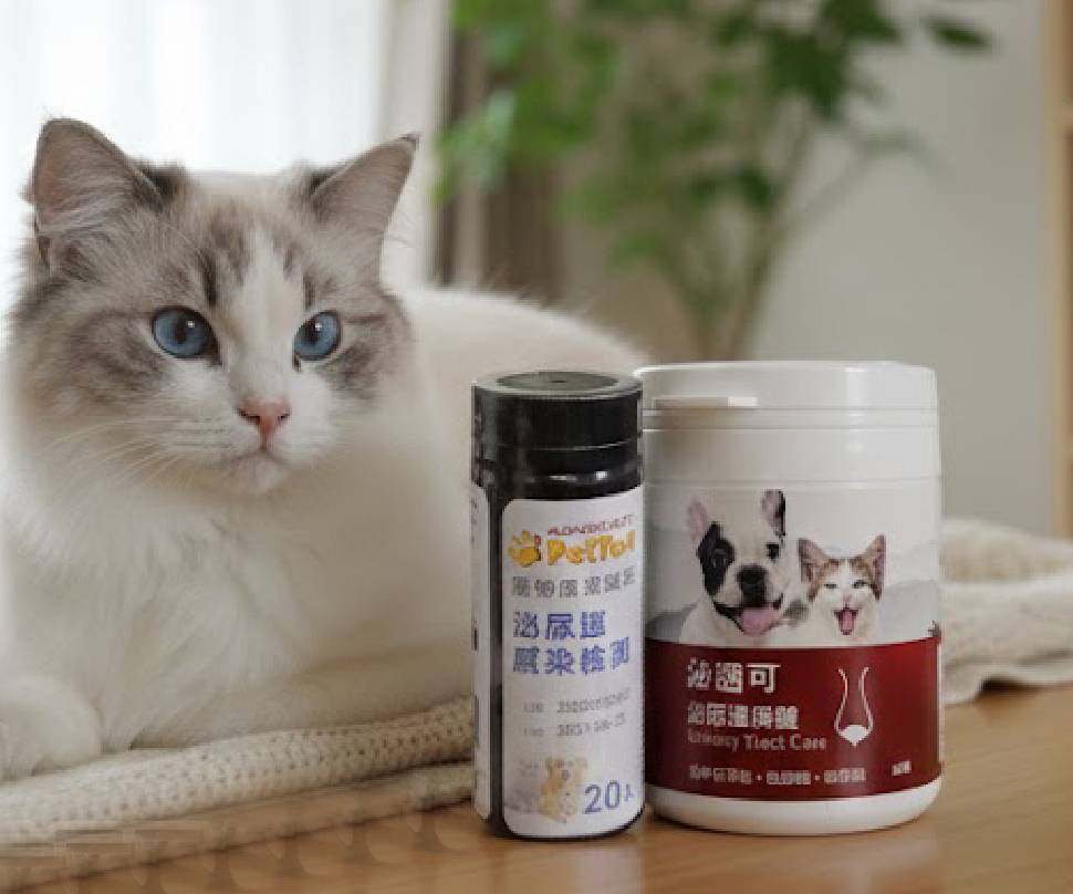 測＋補雙守護：高齡犬貓泌尿道保健 測加補 泌尿道試紙保健組 毛孩寶寵物保健 寵物知識 寵物健康