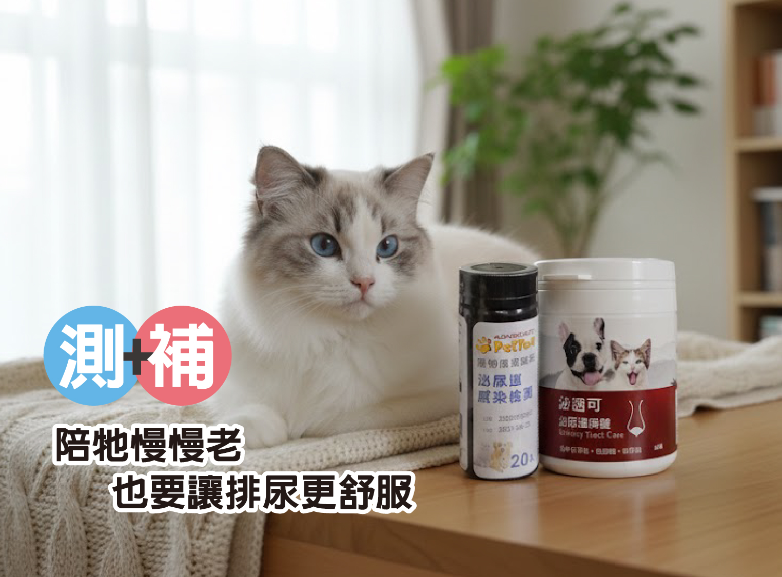 測加補 泌尿道試紙保健組