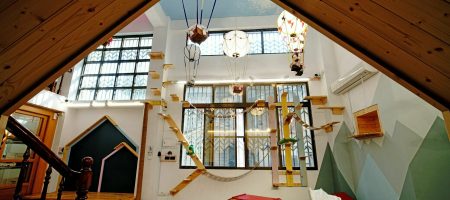 台南蝸聚寵物親子民宿