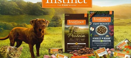 寵市集-寵物吃喝玩平台